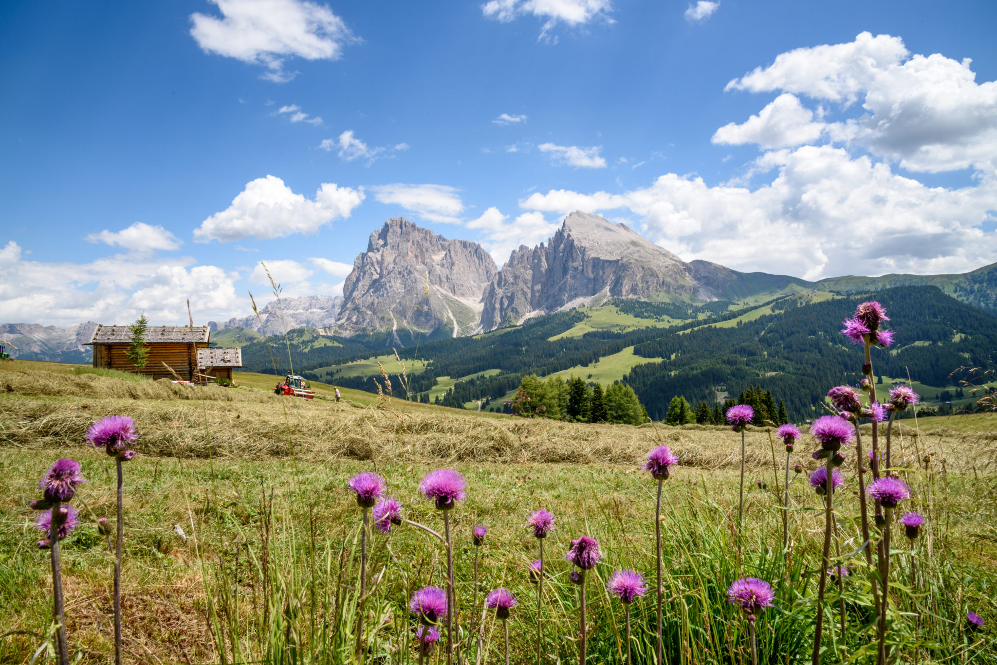 Herrliche Landschaften in Südtirol