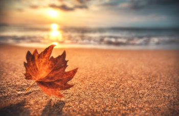 AdobeStock_224123985