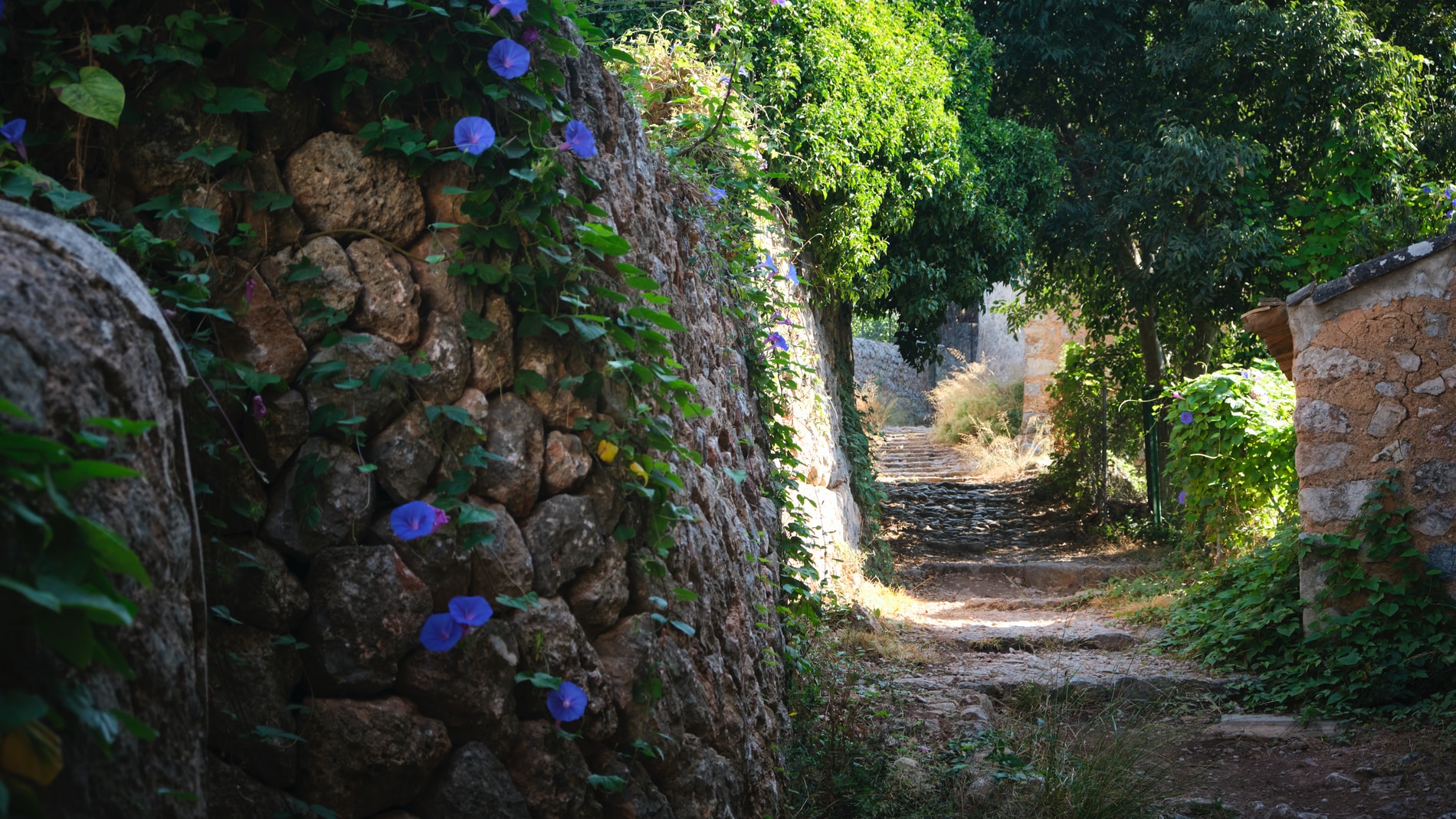 Schöner Wanderweg in der Serra de Tramuntana auf Mallorca