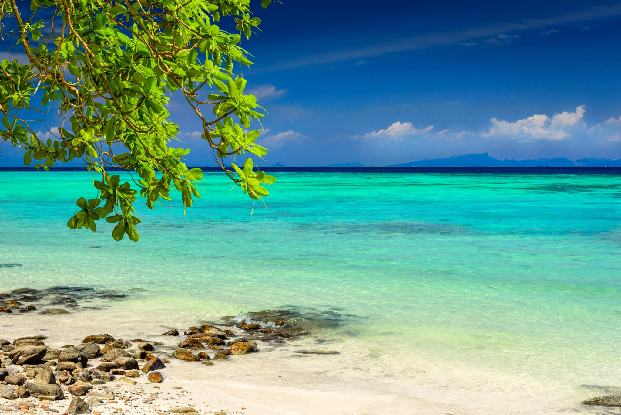 Beautiful tropical beach, rocks, exotic plant leaves and clear turquoise sea water. Photo from Ko Phi Phi Don, Phi Phi Islands, Krabi province, Southern Thailand.