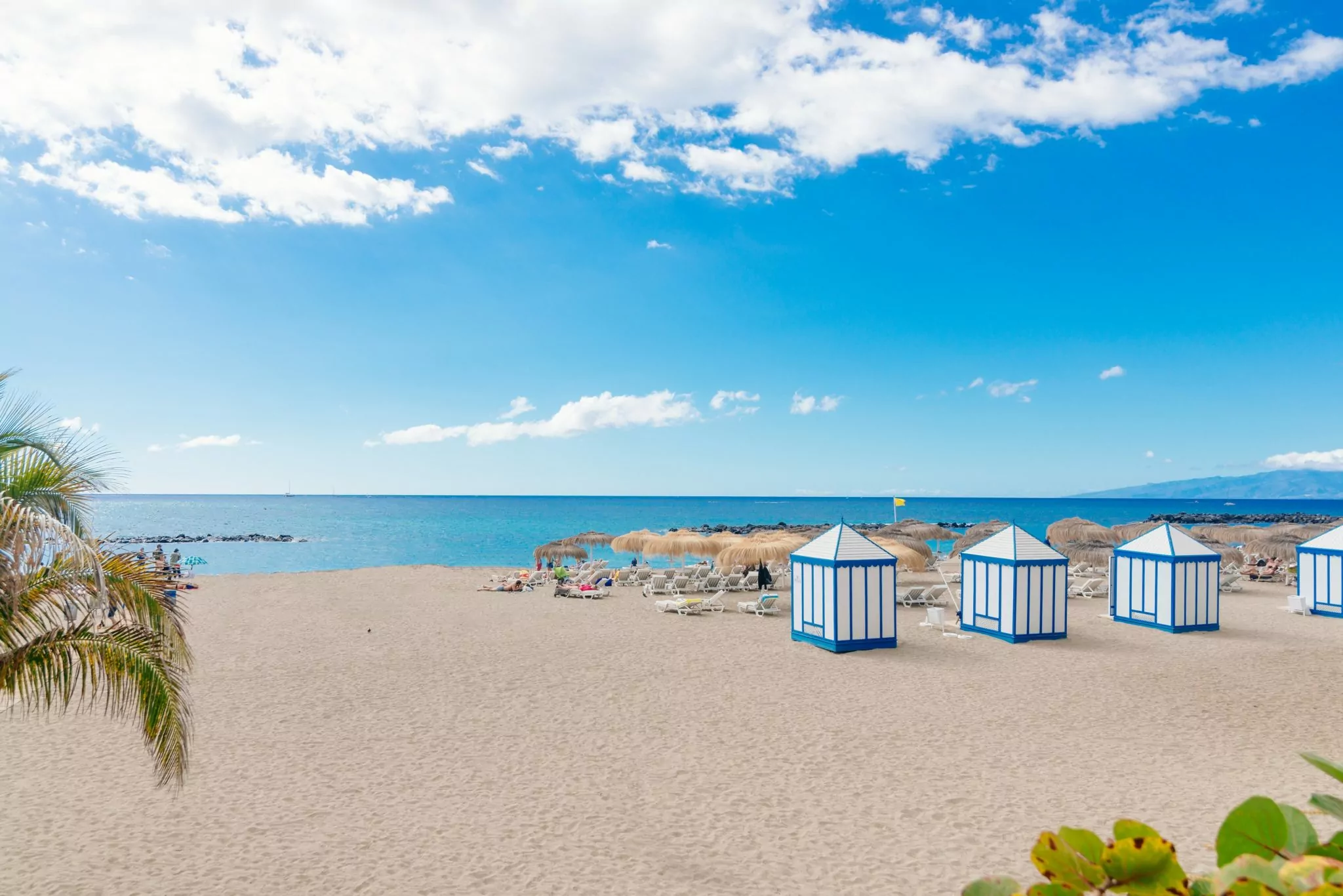 Playa El Duque beach with tropical palm trees in Costa Adeje