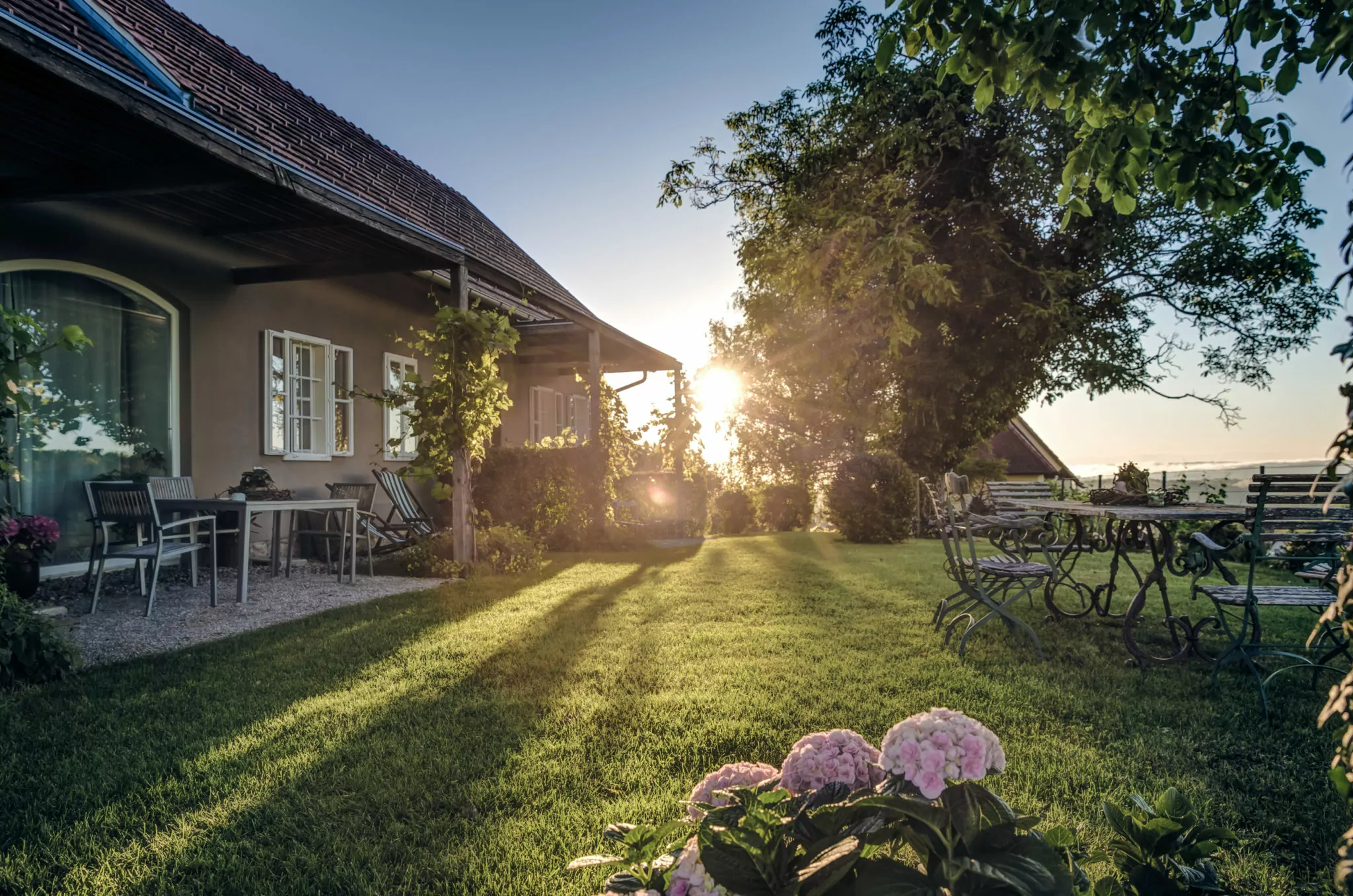 Sonnenaufgang in Zieregg - Winzarei Weingut Tement
