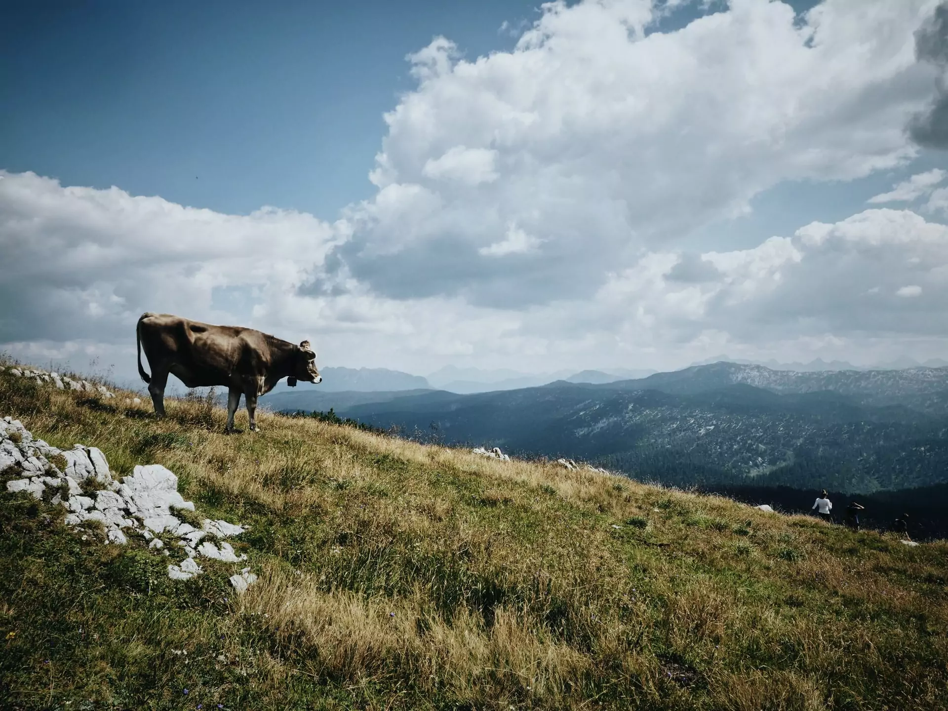 Sommerurlaub im Ausseerland in Österreich