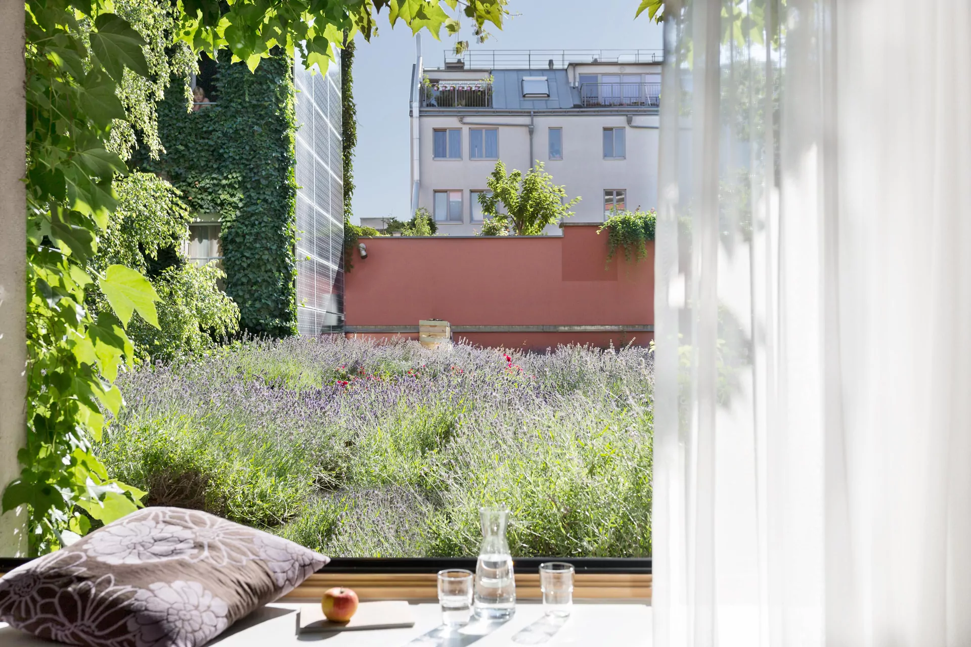 Komfortzimmer mit Blick in den Lavendelgarten © Boutiquehotel Stadthalle/ Tina Herzl