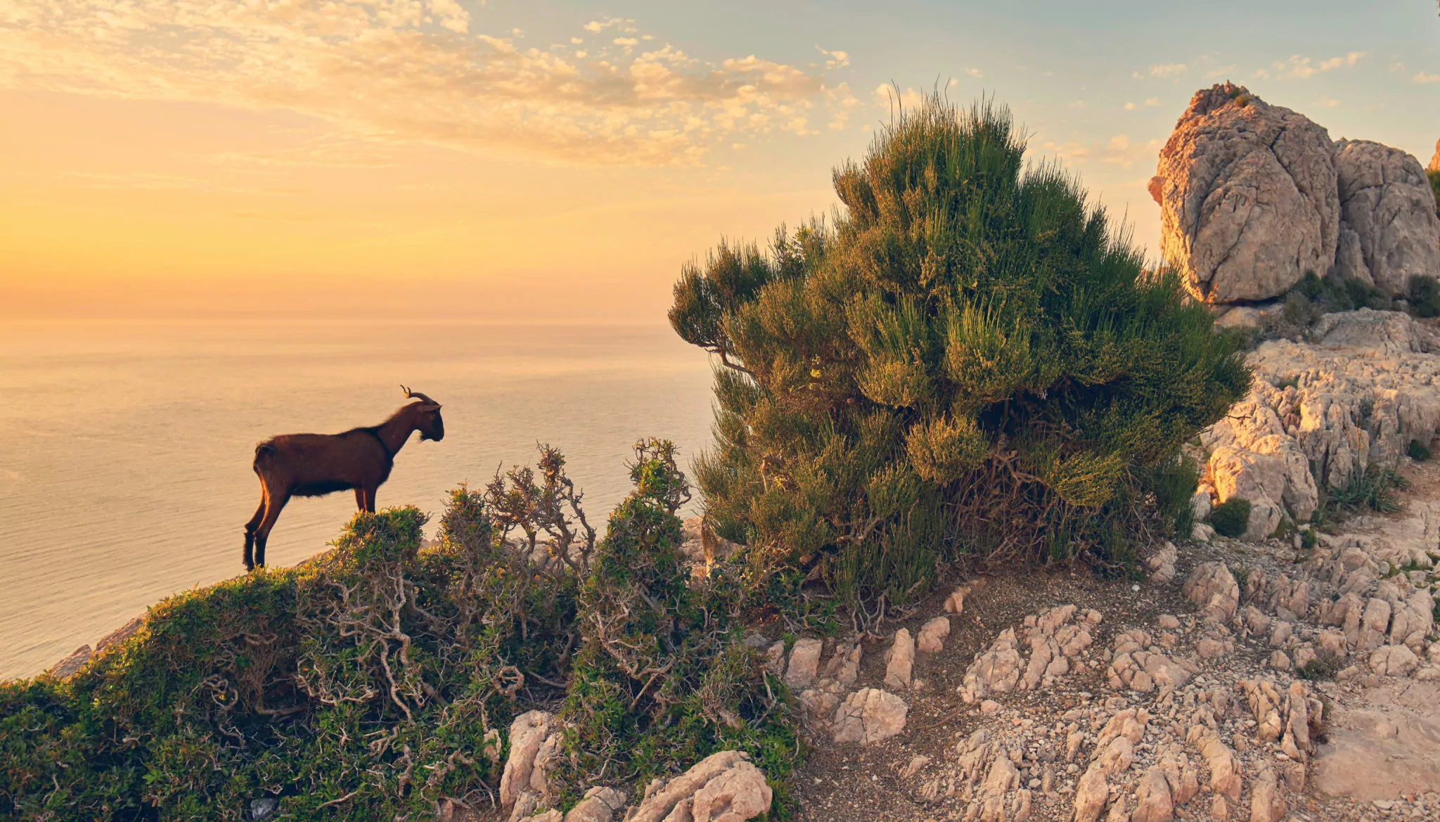 Wanderung im Sonnenuntergang auf Mallorca