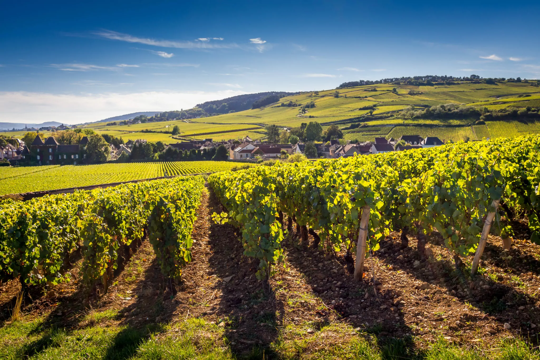 Village de la Côte de Beaune