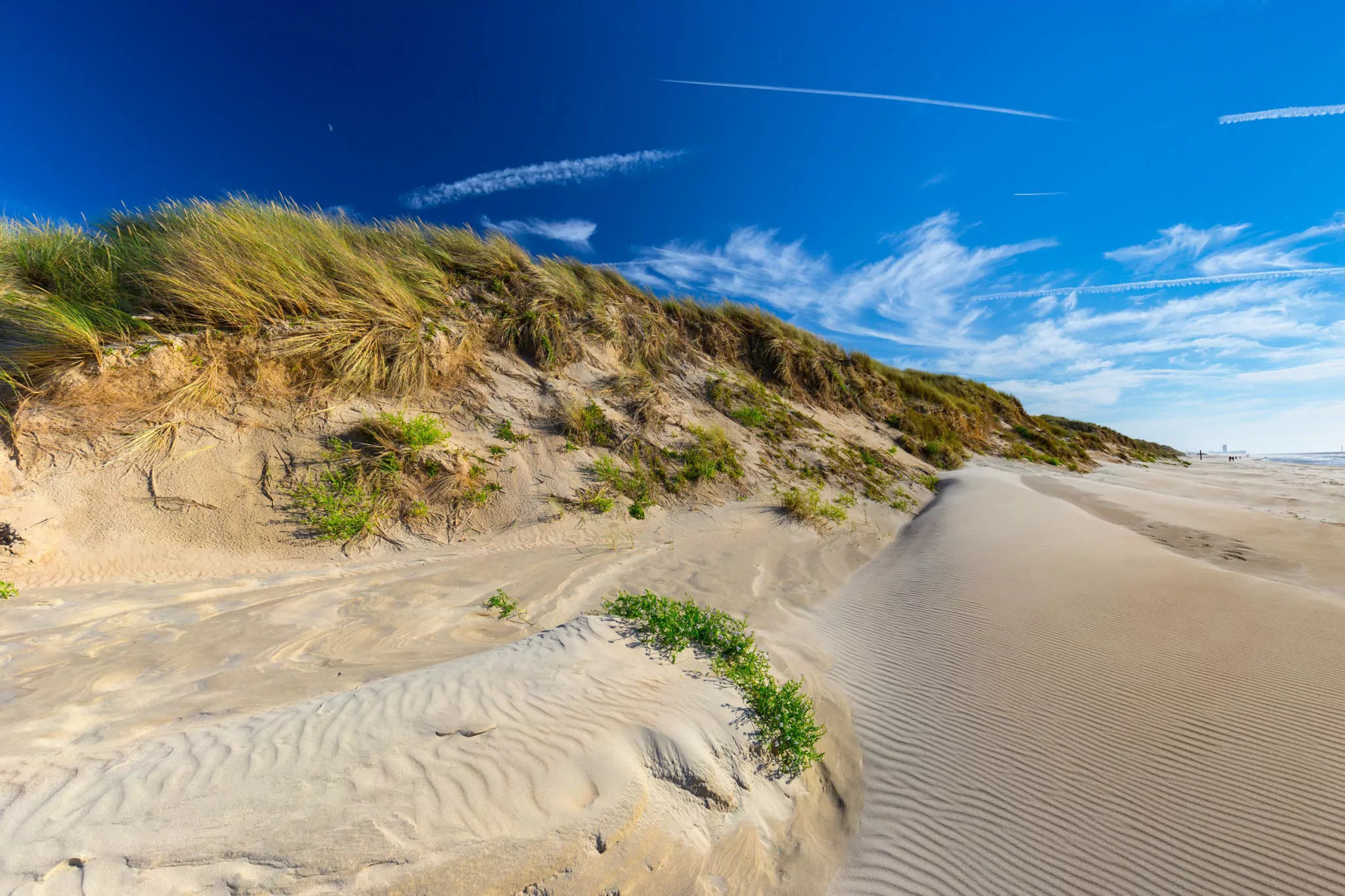 Sanddünen am Nordsee-Strand von in De Haan